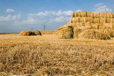 Similar image 8462458