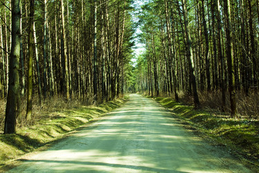 Similar image 8462476