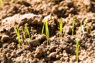 Similar image 8462494