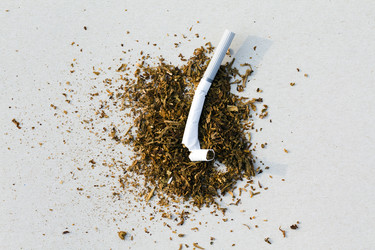 Similar image 8462514