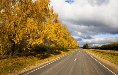 Similar image 8462604