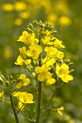 Similar image 8462629