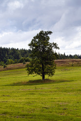 Similar image 8462651