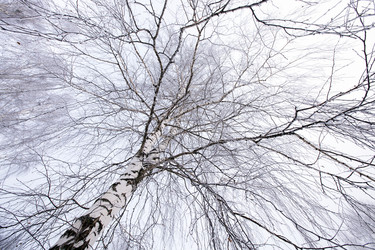 Similar image 8462653