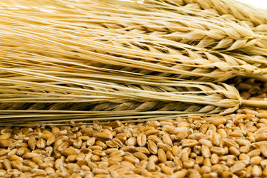 Similar image 8462658