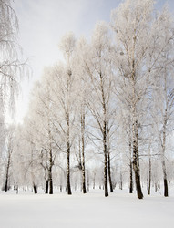 Similar image 8462678