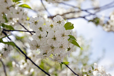 Similar image 8462706