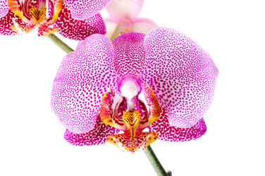 Similar image 8462707