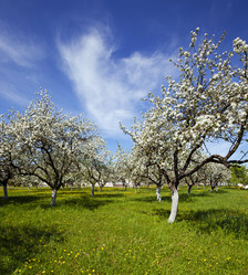 Similar image 8462715