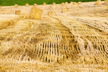 Similar image 8462733