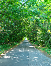 Similar image 8462749