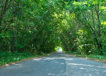 Similar image 8462750