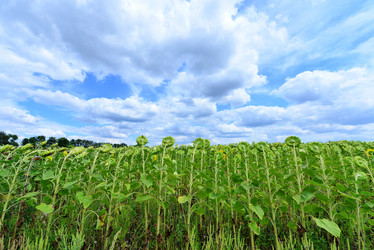 Similar image 8462759