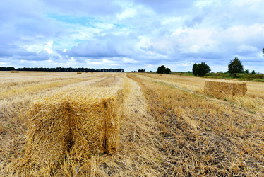 Similar image 8462762