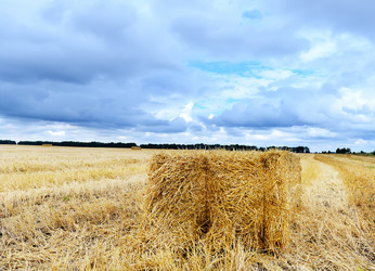 Similar image 8462798