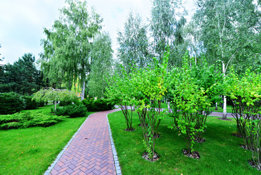 Similar image 8462810