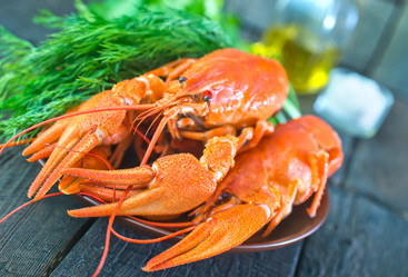 Similar image 8462839