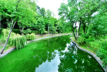 Similar image 8463079