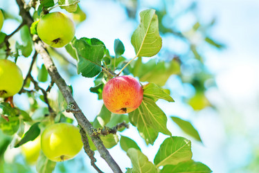 Similar image 8463101