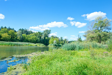 Similar image 8463102