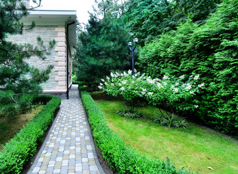 Similar image 8463106