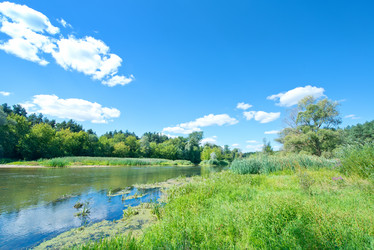 Similar image 8463111