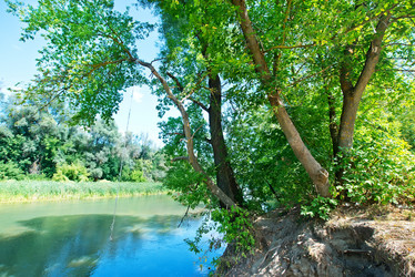 Similar image 8463115