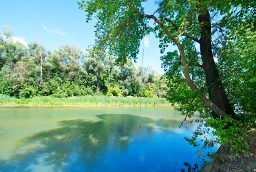 Similar image 8463116