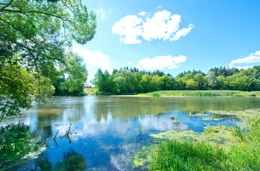 Similar image 8463120