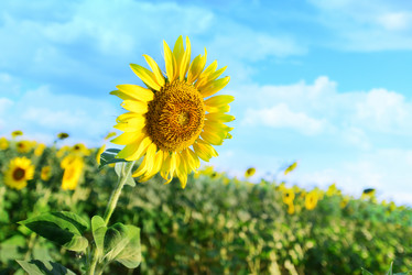 Similar image 8463123