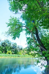 Similar image 8463126