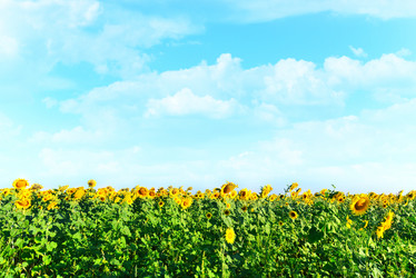 Similar image 8463143