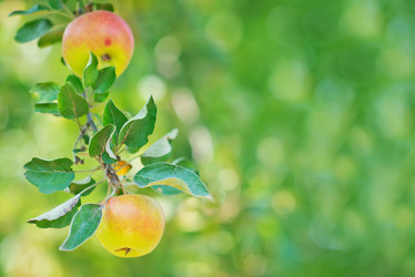 Similar image 8463156