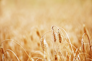 Similar image 8463222