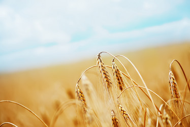 Similar image 8463231