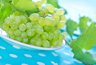 Similar image 8463274