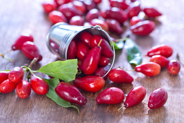 Similar image 8463277