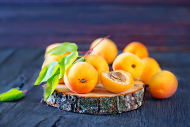 Similar image 8463295