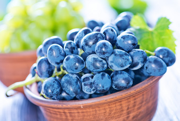 Similar image 8463328