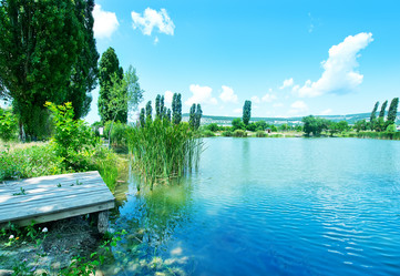 Similar image 8463459