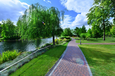 Similar image 8463460