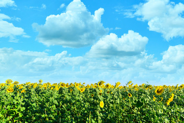 Similar image 8463468