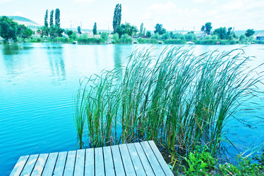 Similar image 8463471