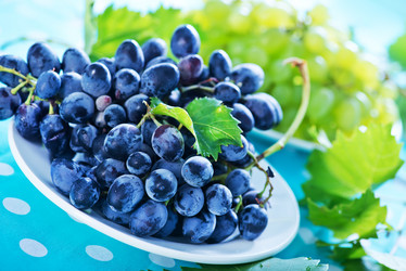 Similar image 8463495