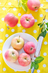 Similar image 8463520