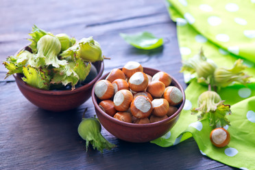 Similar image 8463531