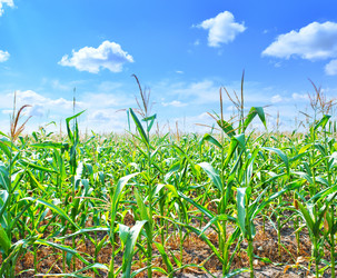 Similar image 8463537