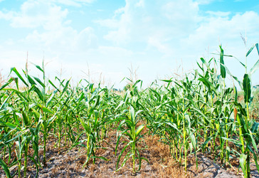 Similar image 8463538