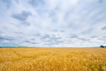 Similar image 8463591