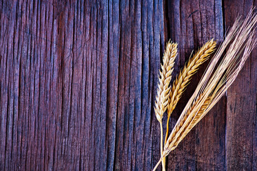 Similar image 8463592